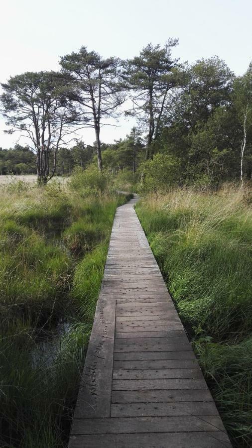 Le Cottage De La Doucette Paimpont Zewnętrze zdjęcie